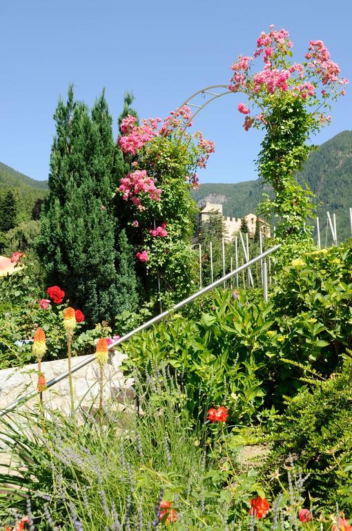 Feldhof Scena